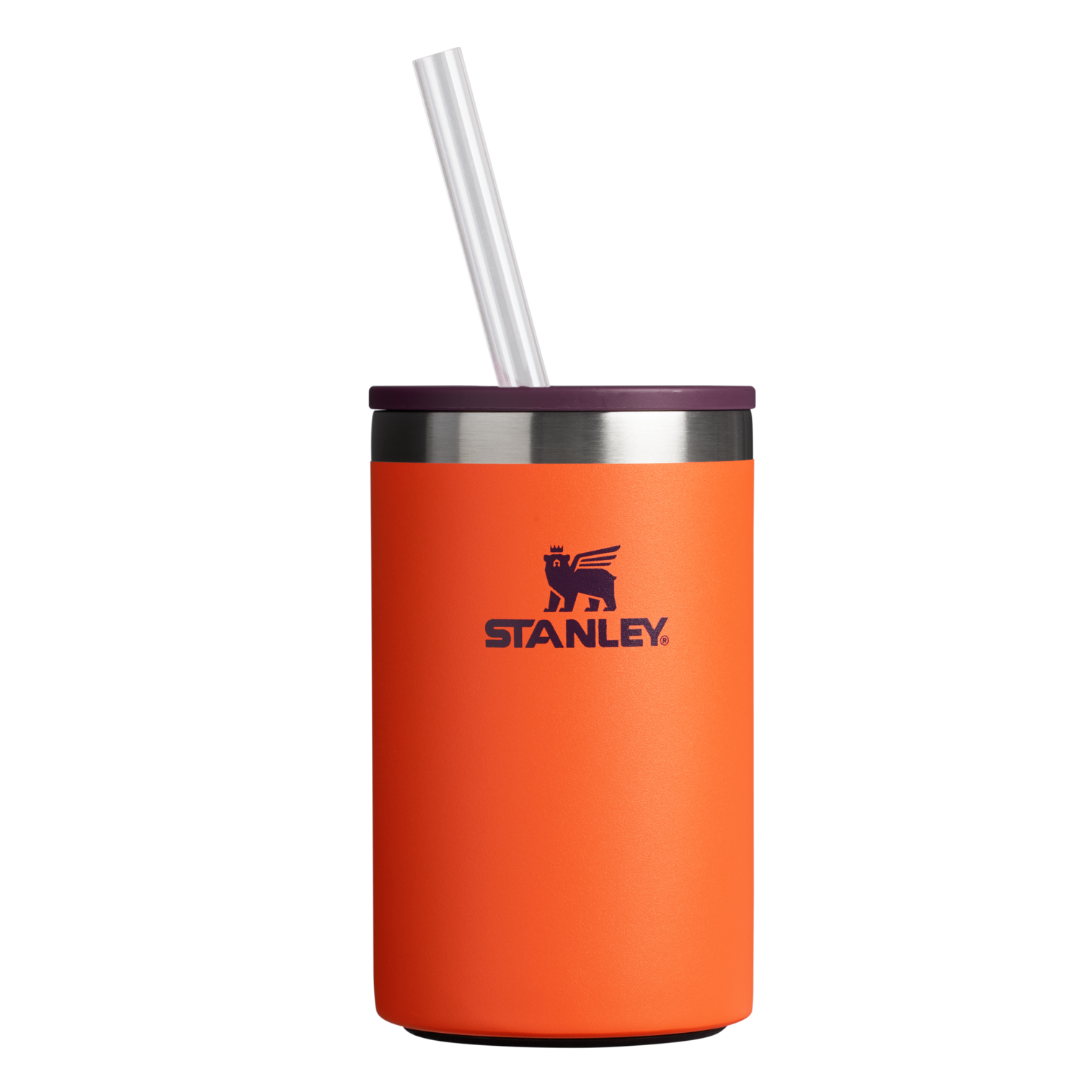 Web_PNG_Square-TheEverydayCanCoolerCup10OZ-TigerlilyPlum-Front.png